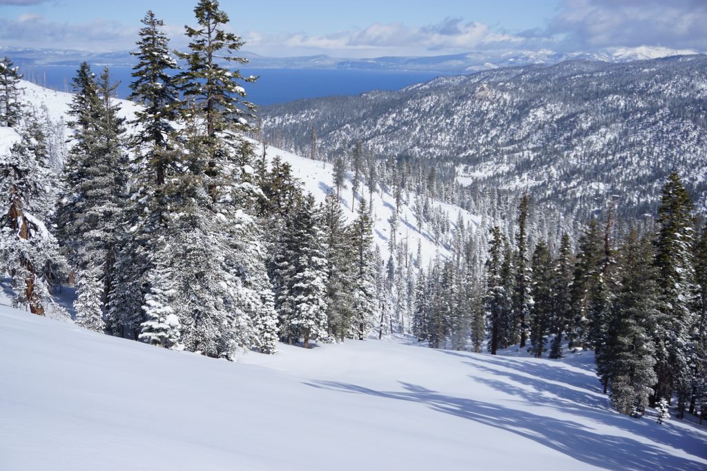 12 Budget-Friendly Winter Destinations in the U.S.: Affordable Snow & Sun Escapes