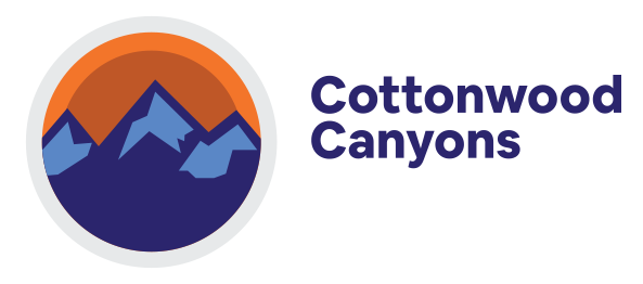 Discover the Winter Wonderland of Mount Snow Ski Resort, Vermont